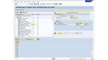 How to use SAP HR Ad Hoc Query in 5 Minutes!