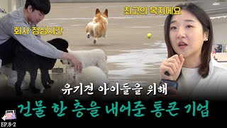 Company Donates a Floor for Stray Dogs [Jeonbodong Ep.82] #AnimalFarm #NewPetShop #ShelterVolunteer