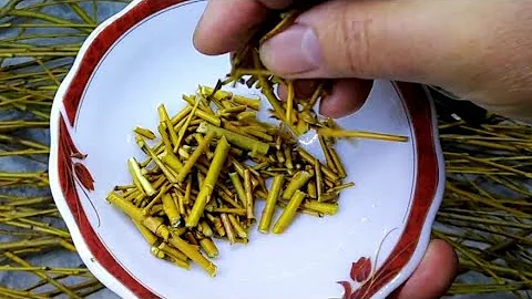 От тысячи болезней поможет... Нужно только заварить...