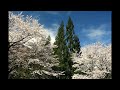 岩崎宏美さんが歌う”五線紙のカウボーイ”
