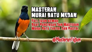 MASTERAN MURAI BATU‼️SUARA cililin,cucak jenggot,kenari,kapas tembak,gereja tarung,suara kuntilanak