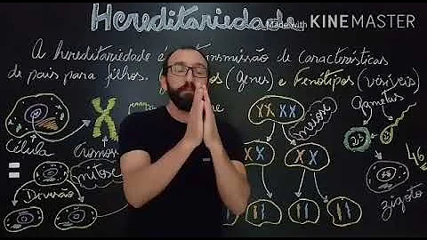 Como os filósofos explicam a transmissão das características hereditárias de pais para filhos?