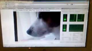 YouTubeHD vs Intel Atom N270