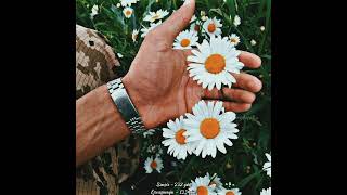 Whatsapp Ucun Maraqli Statuslar Sevgiye Aid Video Sounds App 2022 Status Ucun Video,