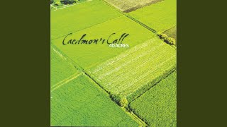 Video thumbnail of "Caedmon's Call - Faith My Eyes"
