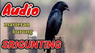SUARA BURUNG SRIGUNTING || Cocok Buat Masteran dan  Pancingan