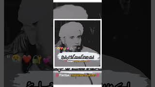 Such Madrasas Should Be Closed Mufti Tariq Masood