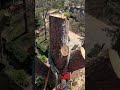💪🙌🙏 #arboleros #treework #treeclimber #climbing #arborist