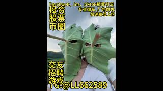 泰国交友粉最强最稳tiktok引流，公域转私域方法，获取链路🔥咨询TG: @LL662589