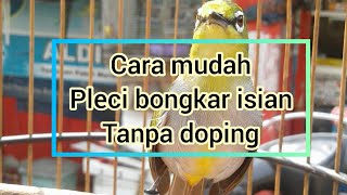 cara mudah membuat pleci bongkar isian tanpa doping