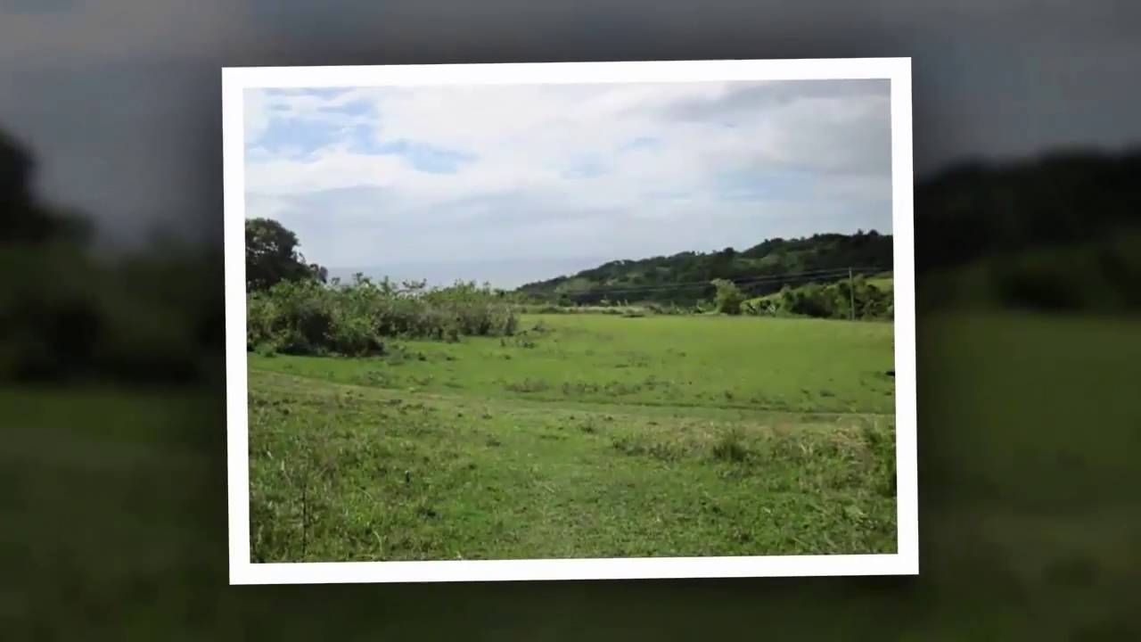 Beautiful Highland Lots & agricultural lands For Sale on Romblon land