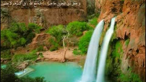 تلاوه من سورة الانعام -الشيخ المحيسني.flv