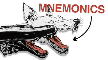 expand your visual library with this memorization technique