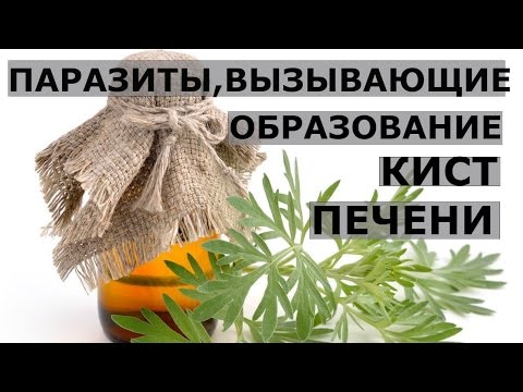 Video: Echinococcus Multilocularis: Opis Zajedavca, Diagnoza In Zdravljenje