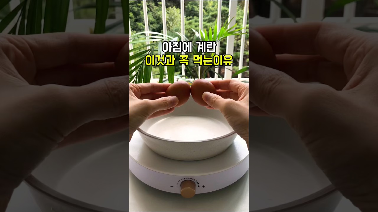 아침에 계란 꼭 이것과 먹는 이유? (간단 레시피) — 건강한끼 레시피 썸네일