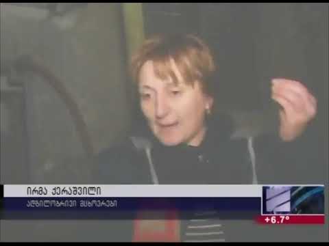 გლდანის მე-2 მიკროში ქარმა ხე მოგლიჯა