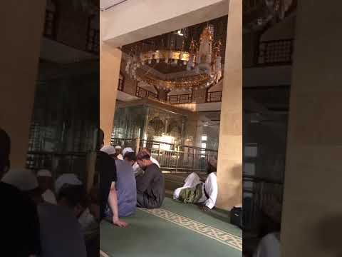 مالي وللناس كم يلحونني سفها ديني لنفسي ودين الناس للناس