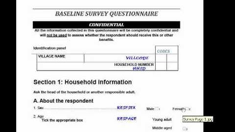 2 Creating the Data Dictionary in CS-Pro