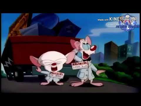 بينكي وبرين مدبلج