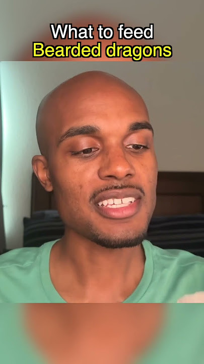 5 Foods Bearded Dragons Secretly Love