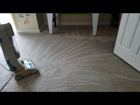 Vacuum Lines In Carpet