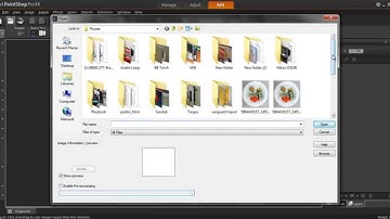 2 Minute Video on how use the Vignette Effect of PaintShop Pro X4