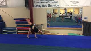 Front handspring front tuck step out pass