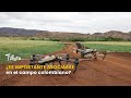 ¿Es importante asociarse en el campo colombiano? - TvAgro por Juan Gonzalo Angel