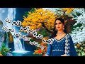 آهنگ دلنشین قلم زن از هوش مصنوعی Afghani Hazaragi Farsi Video Music Viral 