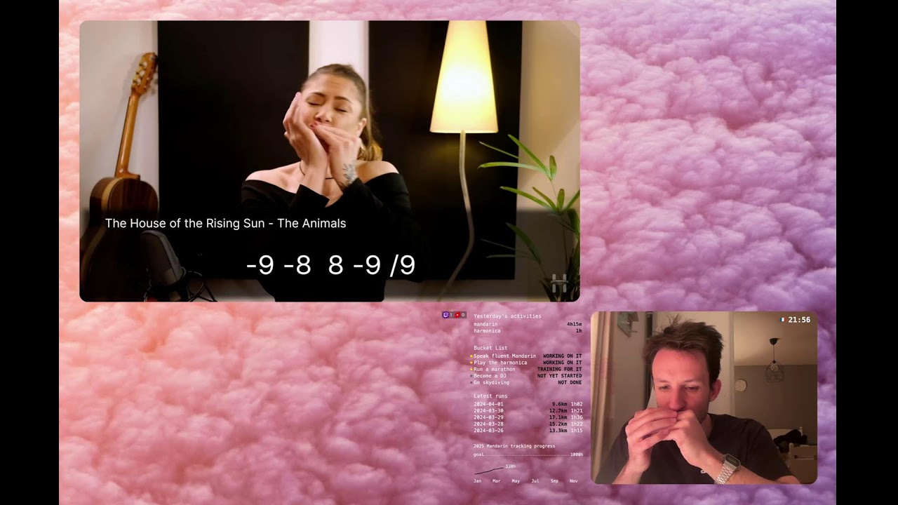 Learning Harmonica #26 - quick one before hitting the hay