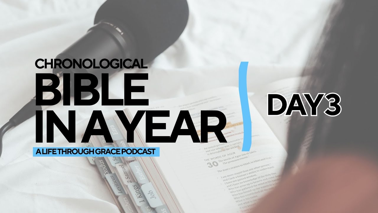 Bible in a Year: Day 3 - Noah and The Flood | Life Through Grace