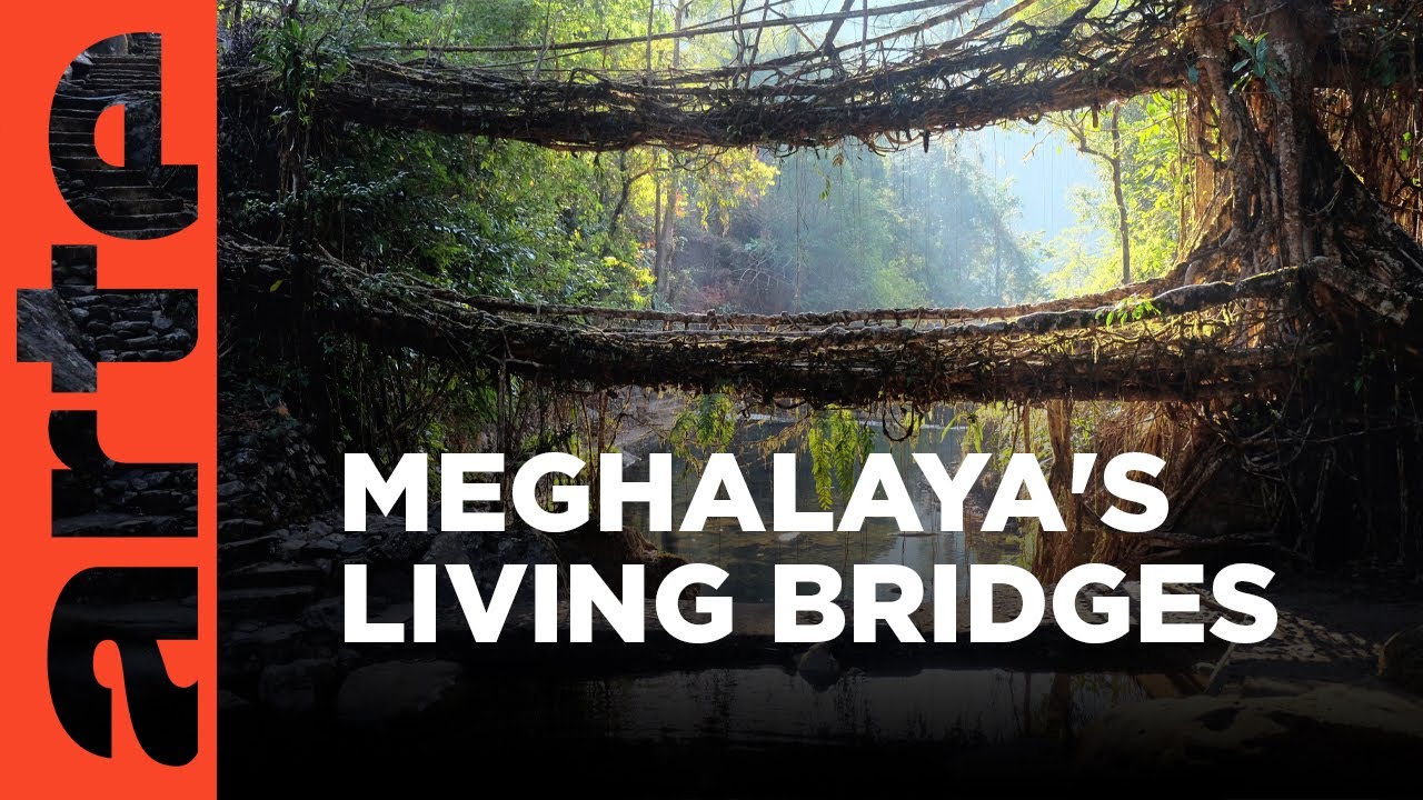 India: The Living Bridges I ARTE.tv Documentary