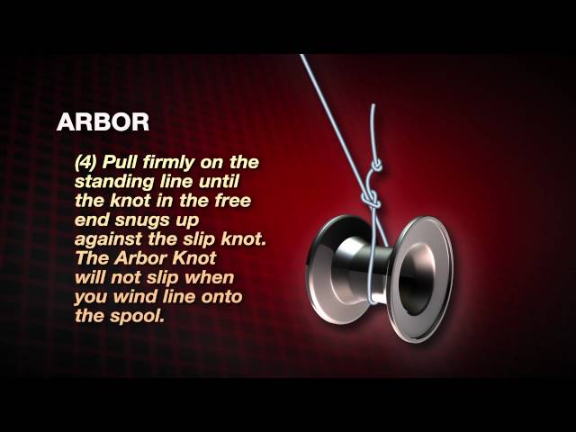 How to tie an Arbor Knot by Abu Garcia 