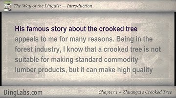 The Linguist by Steve Kaufmann - Introduction - Zhuangzi