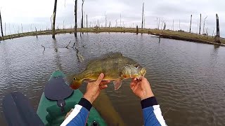 PESCARIA DE TUCUNARE NO FRIO, SERÁ QUE PEGA..