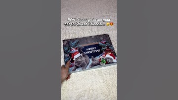 Send this to that one cat lover 🎁🐈#adventcalendar #catlover #christmas #cat #catparents