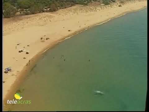 Teleacras - Una petizione per le spiagge pulite ad Agrigento