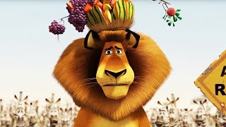 Dreamworks Madagascar En Español Latino Clip De Película - Madagascar 2 Dibujos Animados