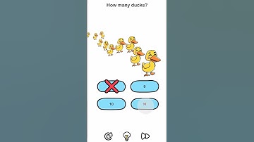 solving level 2 of brain out how many ducks