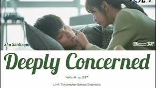 Su Shiding (苏诗丁) – Deeply Concerned (深深在意) | Hello Mr. Gu OST | 原来你是这样的顾先生 | Lyrics Terjemahan