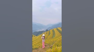 Top 1 ruộng bậc thang đẹp nhất TG