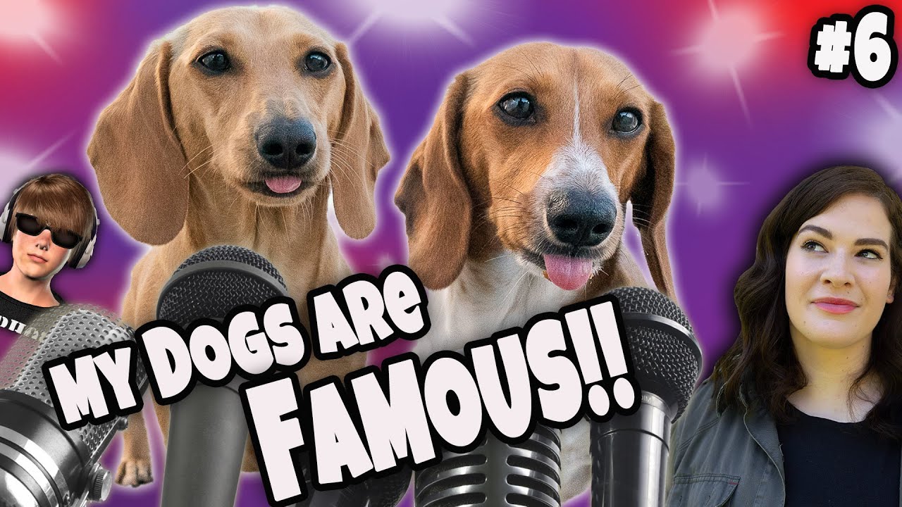 My Dogs are FAMOUS!!! TV Show GONE WRONG!! Episode 6 YouTube