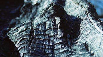 Lớp 8: Món Quà Của Sự Giải Thoát 35: Hiểu Biết Sâu Sắc Về Bánh Xe Luân Hồi (2020)