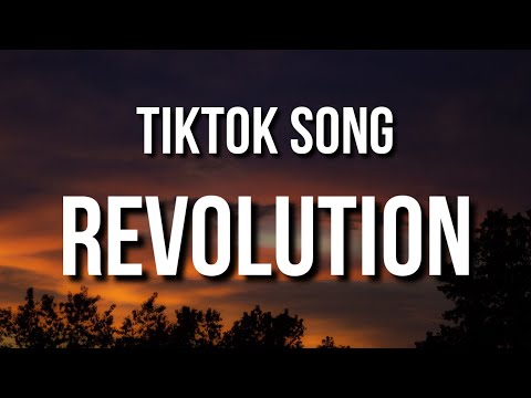 Diplo - Revolution