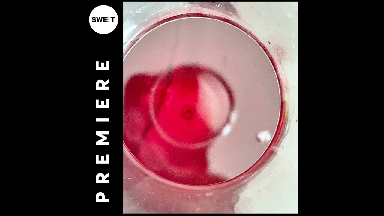 PREMIERE : Fec - End of Times (Original Mix) [Sum Over Histories]