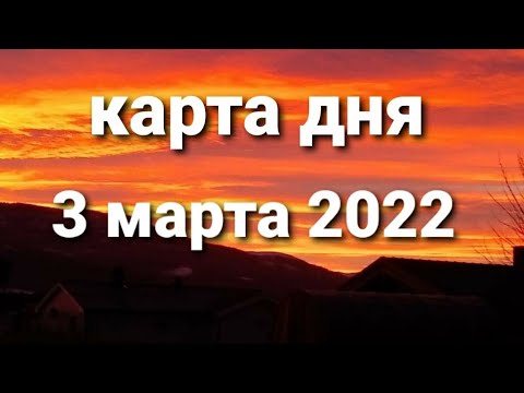 3 марта 2022,