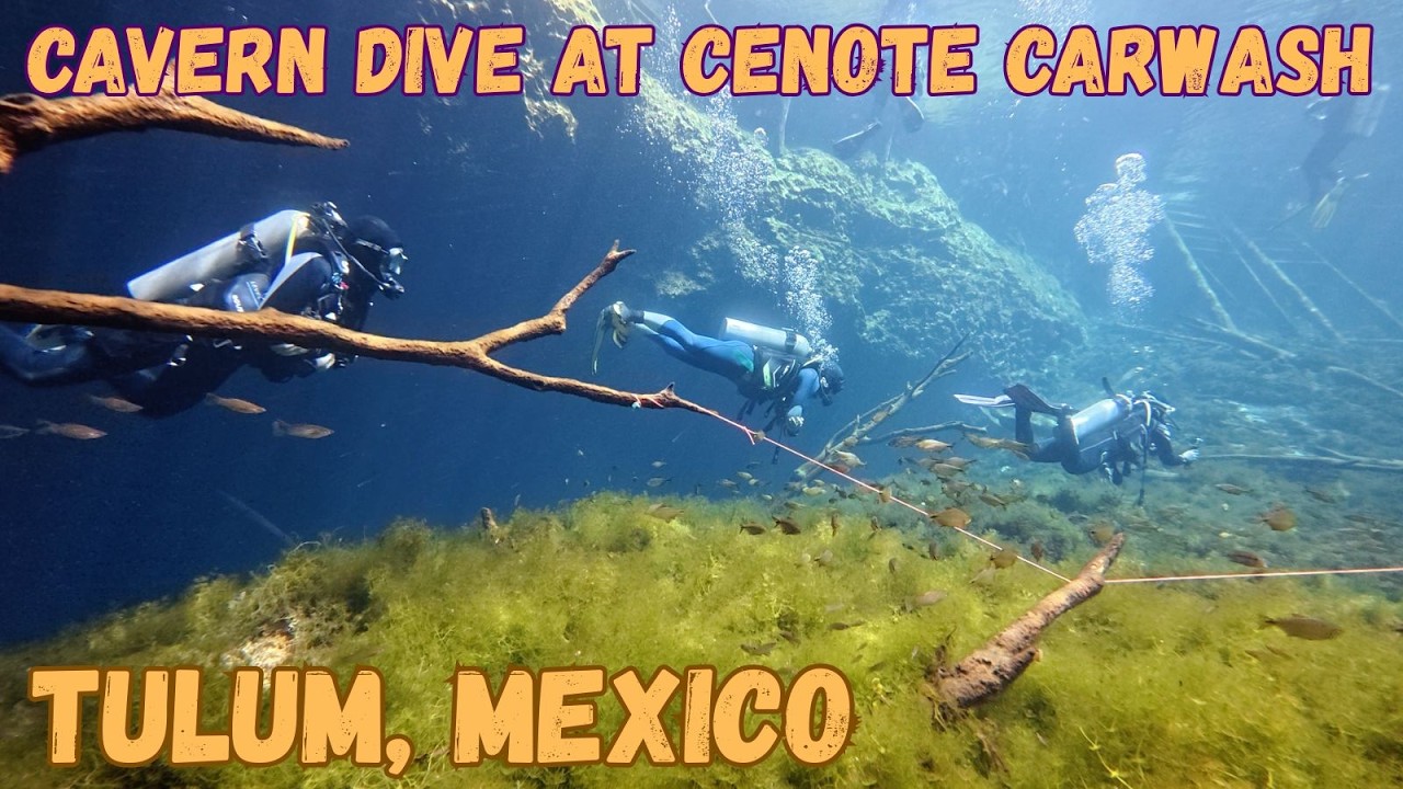 Cavern Dive at Cenote Carwash, Tulum, Mexico.