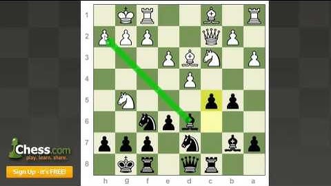 Anand Brilliant Chess Game Showcased by Daniel Rensch.