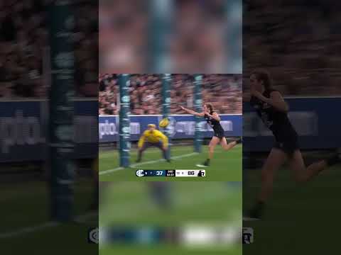 Maynard's Clutch Smother