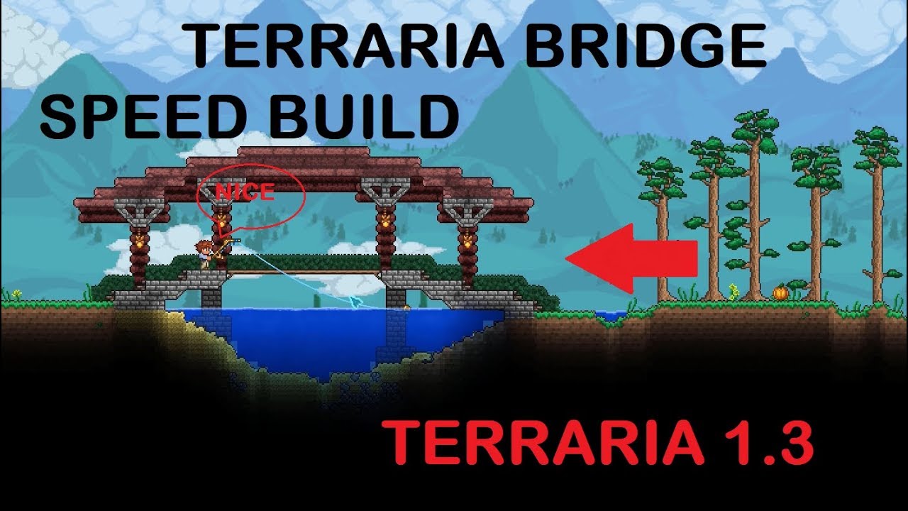 What Are The Things In This Build? Terraria 653